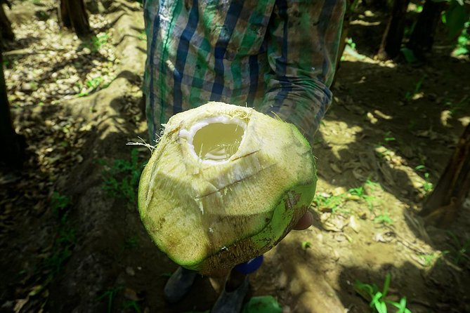 Santiago Island: Banana Plantation, Natural Park & Workshop with a local family - Who should book this Santiago Island tour?
