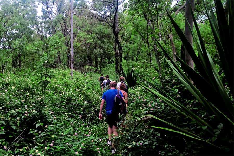 Santiago Island: Serra Malagueta & Tarrafal Beach Trek Tour - Picnic time in the protected park