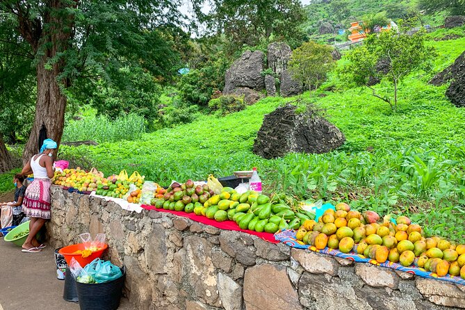 Santiago Island Tour: Meet with a Local Family & Tarrafal Beach - Is $103.52 a fair price?