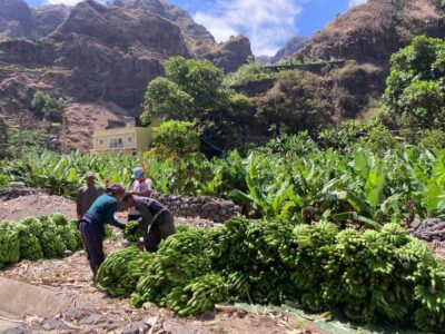 Santo Antão Highlights: Day Trip by Car with Ferry from SV