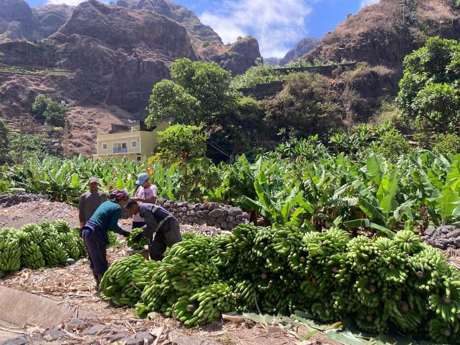 Santo Antão Highlights: Day Trip by Car with Ferry from SV - Porto Novo and the first mountain climb
