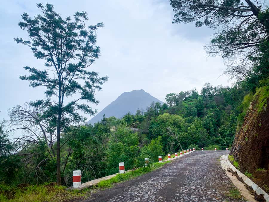 Sao Filipe: Coffee Plantation and Natural Pools Day Trip - From São Filipe into Fogo’s countryside