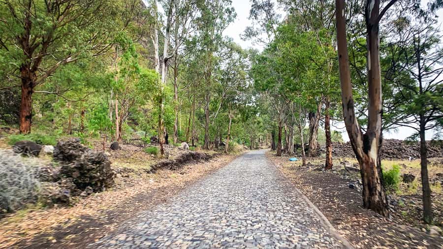 Sao Filipe: Coffee Plantation and Natural Pools Day Trip - Who will like this day trip