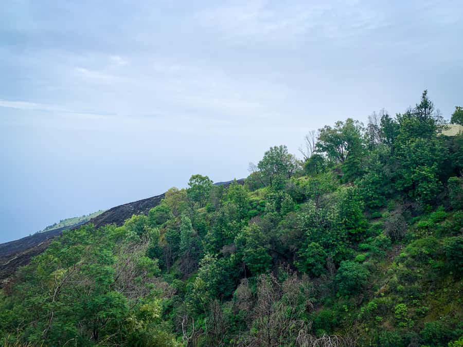 Sao Filipe: Coffee Plantation and Natural Pools Day Trip - Cova Figueira and the view across the coast