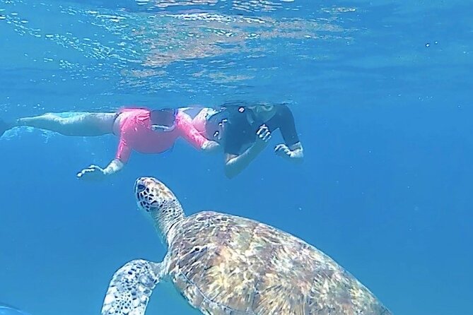 São Pedro experience (hiking & snorkeling with turtles) - Key points at a glance