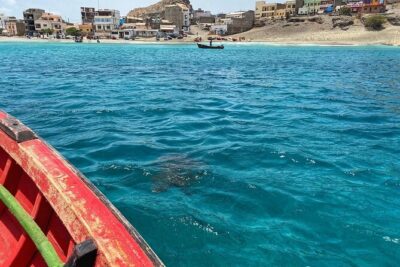São Pedro experience (hiking & snorkeling with turtles)