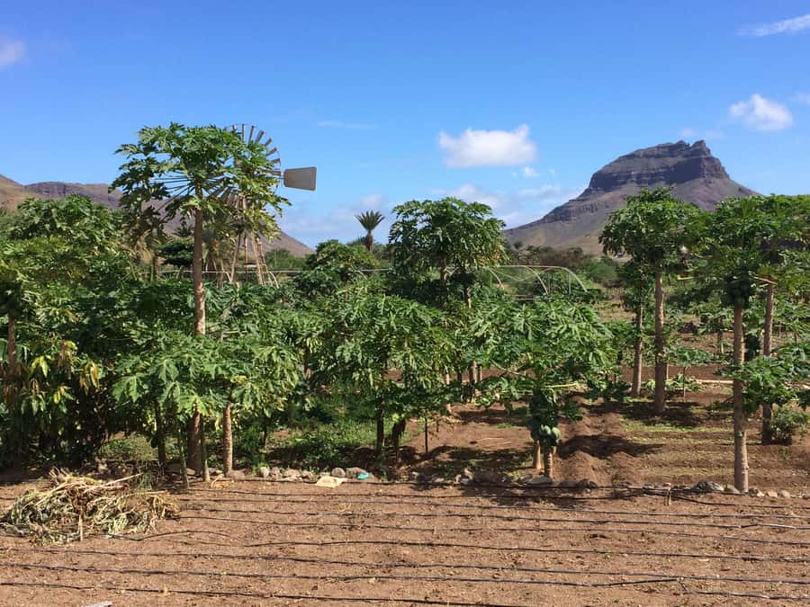 São Vicente: Half Day, Monte Verde and Villages - Salamansa and the island’s coastal villages