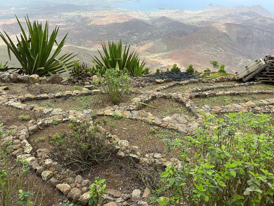 São Vicente: Half Day, Monte Verde and Villages - Guides, languages, and the feel of the day