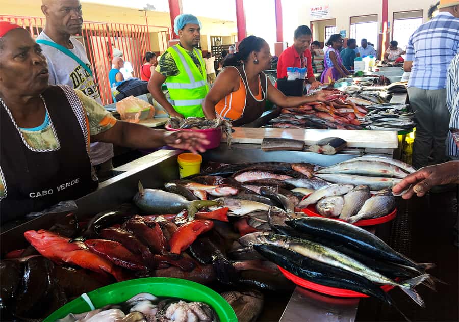 São Vicente Island: Full-Day Tour - Guides, languages, and the pace of the day