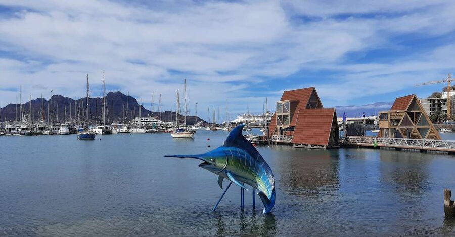 São Vicente: Markets, Beaches and Natural Park Tour - Who should book this São Vicente tour?