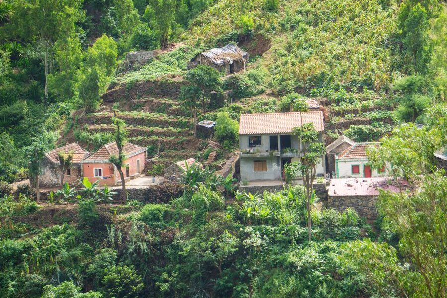 Serra Malagueta Natural Park: Hike to Gongon Valley & Lunch - Who should book this hike