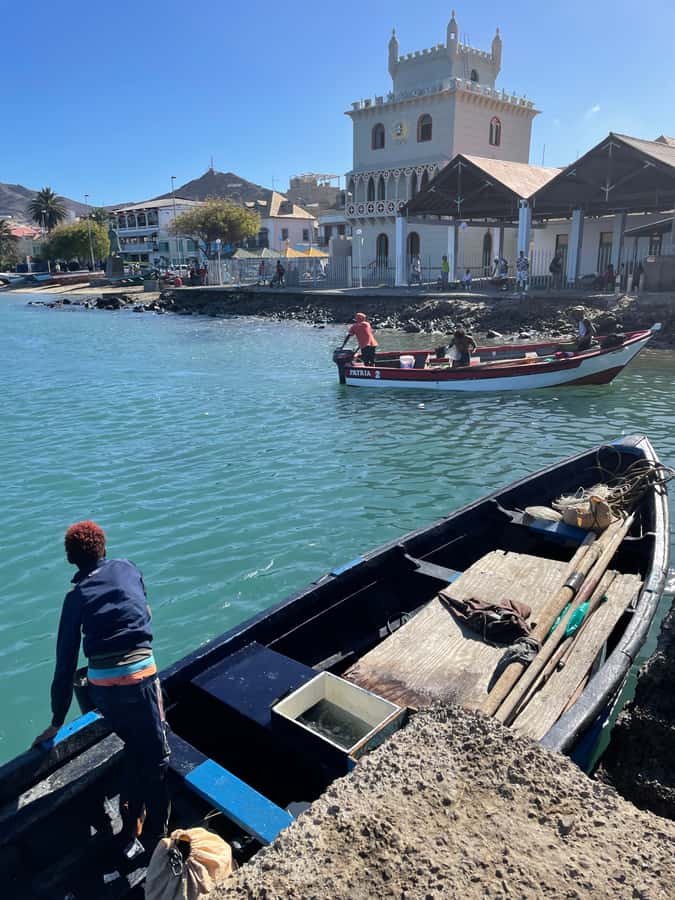Shore Excursion: São Vicente, Full Day, 6h - Baia das Gatas and the option to swim