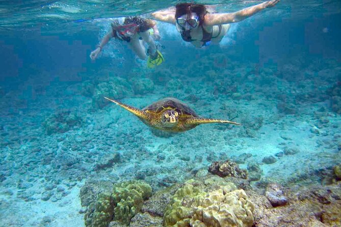 Snorkeling Experience in Santa Maria Bay by boat - A Short Boat Ride Into Santa Maria Bay