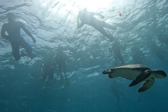 Snorkeling Experience in Santa Maria Bay by boat - Is $34.84 Good Value?