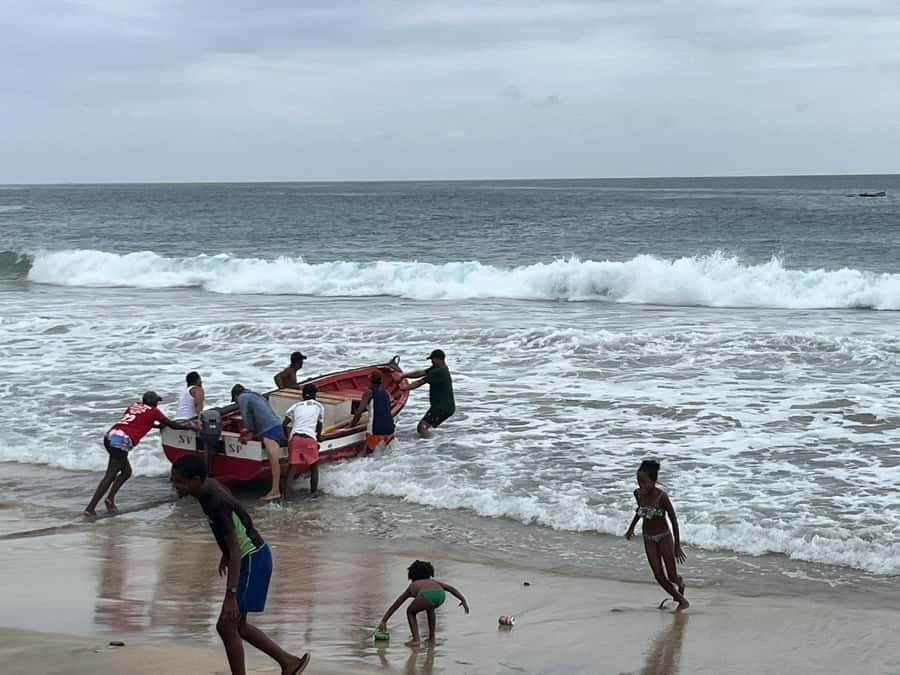 Snorkeling with Turtles - Should you book the São Pedro turtle swim?