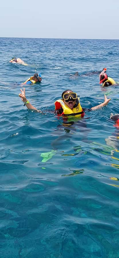 Snorkelling trip with certificate local guide - Languages, photos, and the local touch