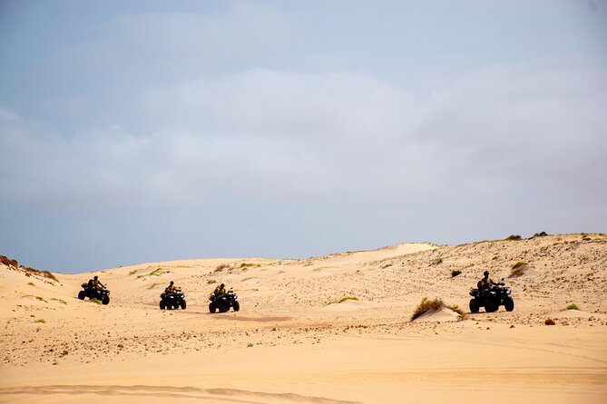 South of Boa Vista Adventure Explore the Desert by Quad - Who should book this Boa Vista quad adventure?