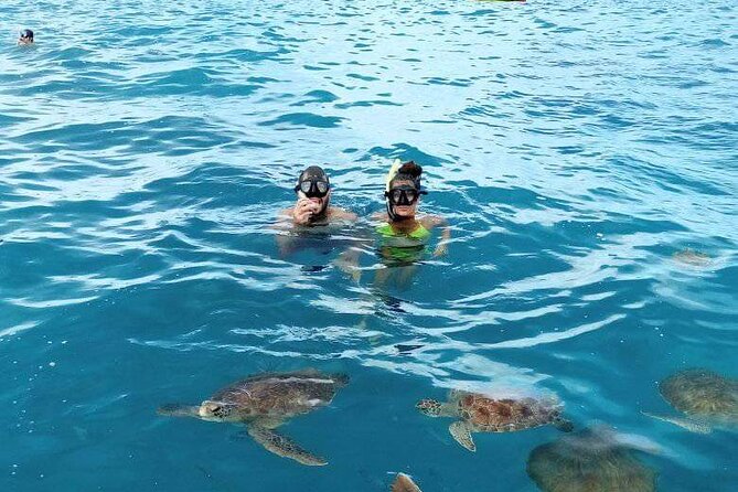 Spectacular experience with sea turtles - Entering the water with the turtles