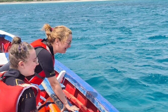 Spectacular experience with sea turtles - Weather, tides, and possible changes