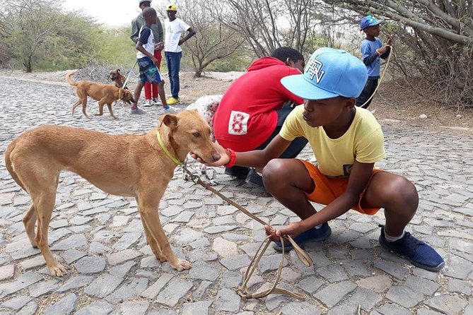 Volunteering with animals in Sao Vicente! - Clinic trips add a more serious side
