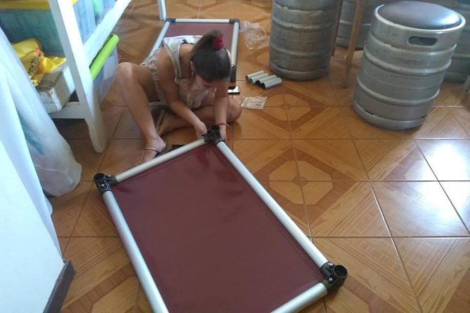 Volunteering with animals in Sao Vicente! - Helping cats, dogs, and the hostel in one short session